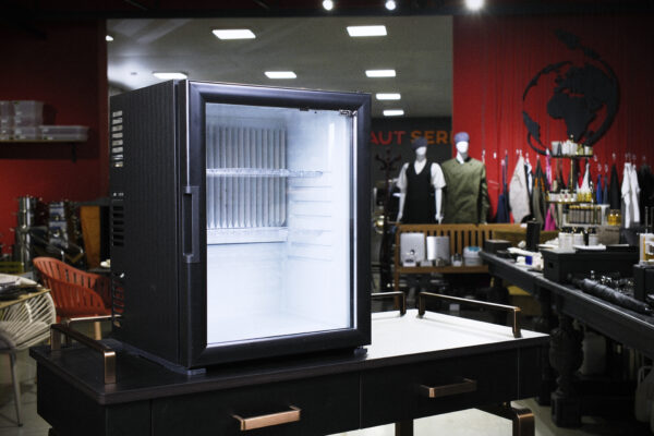 Minibar Peltier SM 301-TH