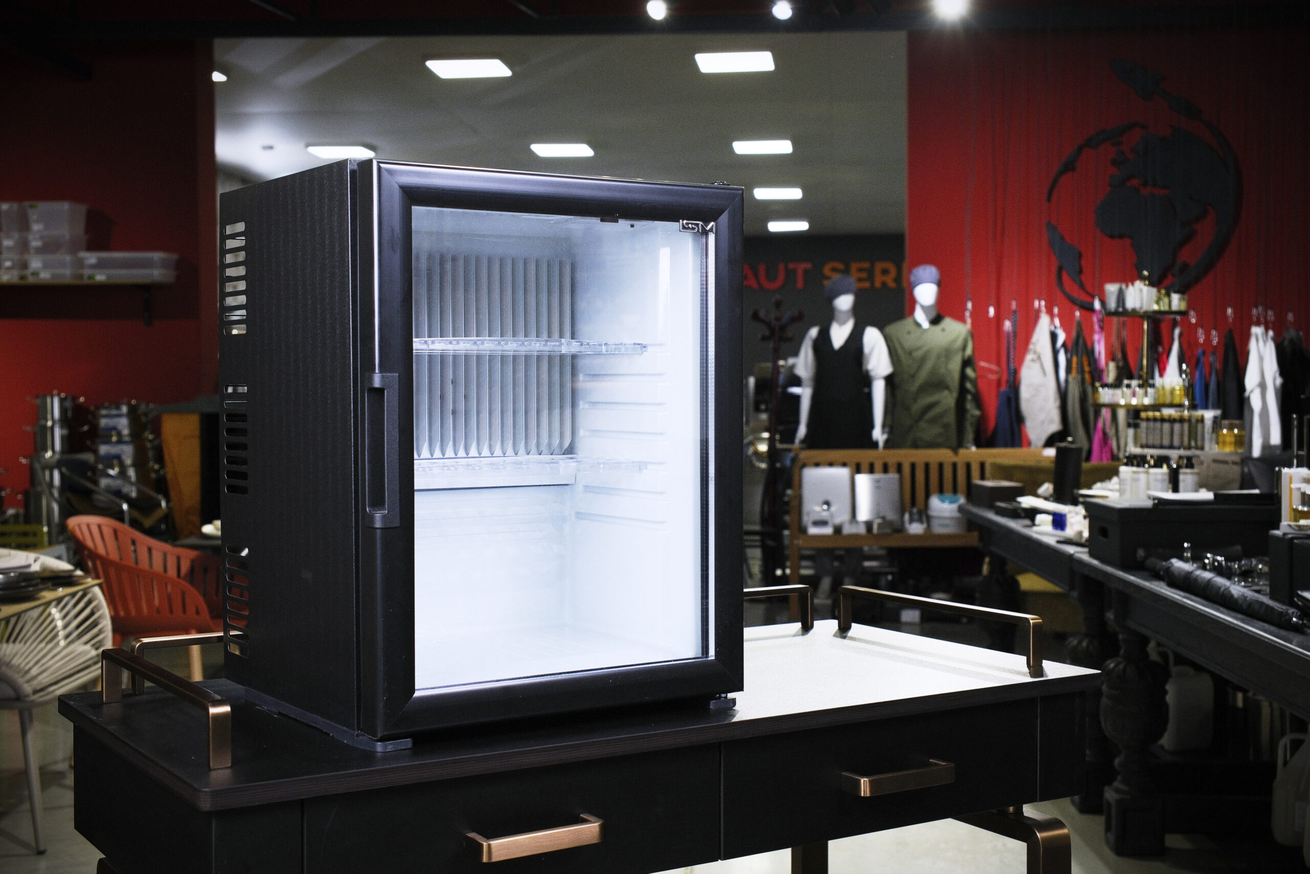 Minibar Peltier SM 301-TH